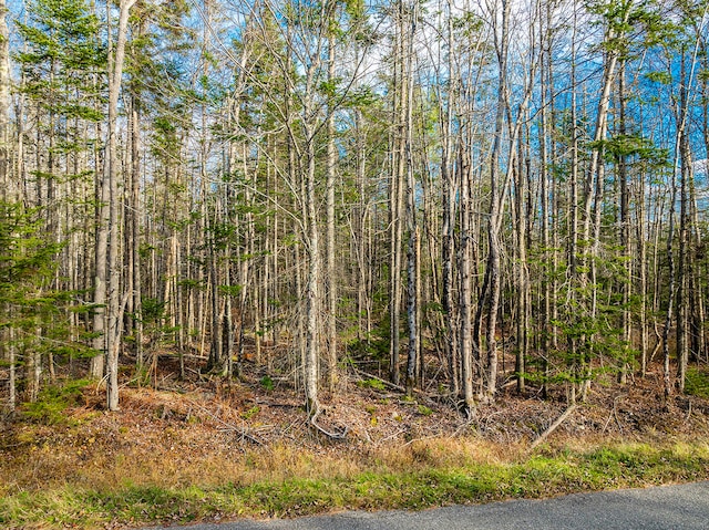 85 Black Rd S, Searsport ME, 04974 land for sale