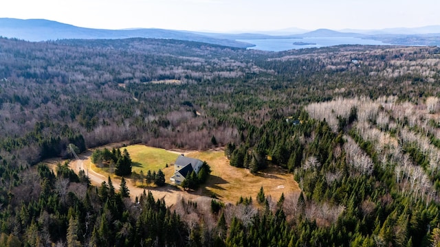 birds eye view of property featuring a mountain view