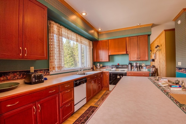 kitchen featuring sink, premium range hood, light wood-type flooring, dishwasher, and electric stove