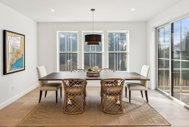 dining room featuring hardwood / wood-style floors