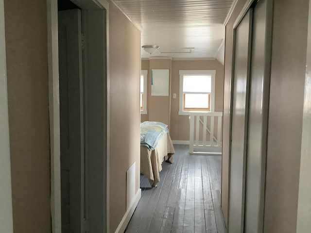 hallway with ornamental molding and dark hardwood / wood-style flooring