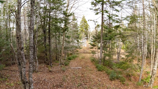LOT8 Sunset Way, Whiting, ME 04691 - photo 2