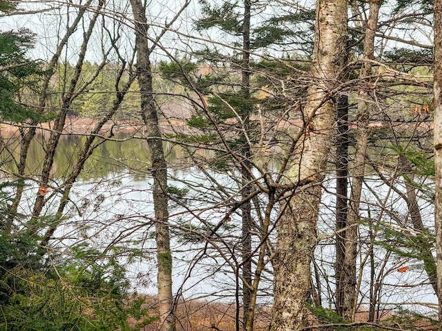 LOT8 Sunset Way, Whiting, ME 04691 - photo 4
