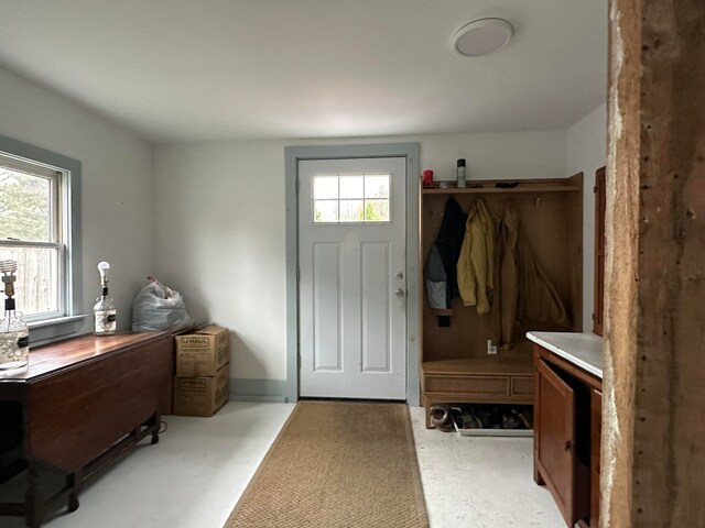 mudroom featuring a wealth of natural light and light carpet