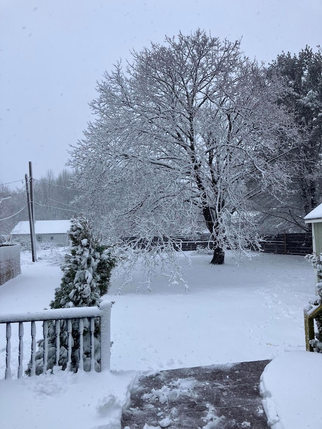 view of yard covered in snow