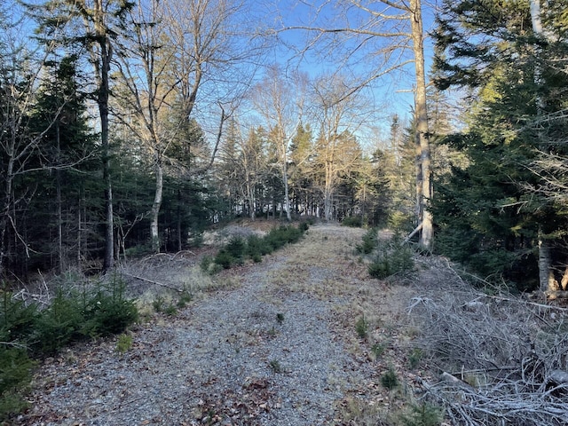 Listing photo 2 for LOT25-3 Flat Bay Dr, Harrington ME 04643