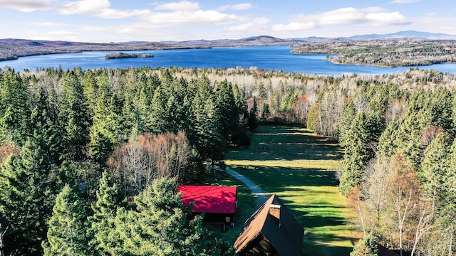 bird's eye view featuring a water and mountain view