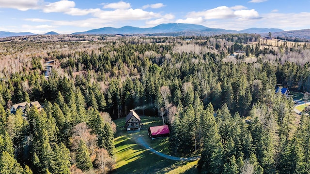 drone / aerial view with a mountain view