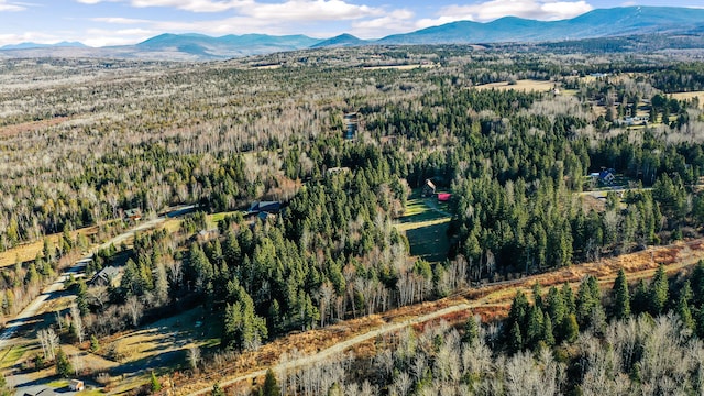 drone / aerial view featuring a mountain view