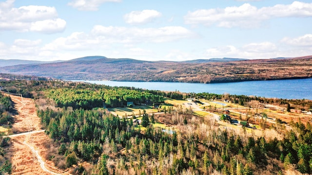 exterior space featuring a water and mountain view