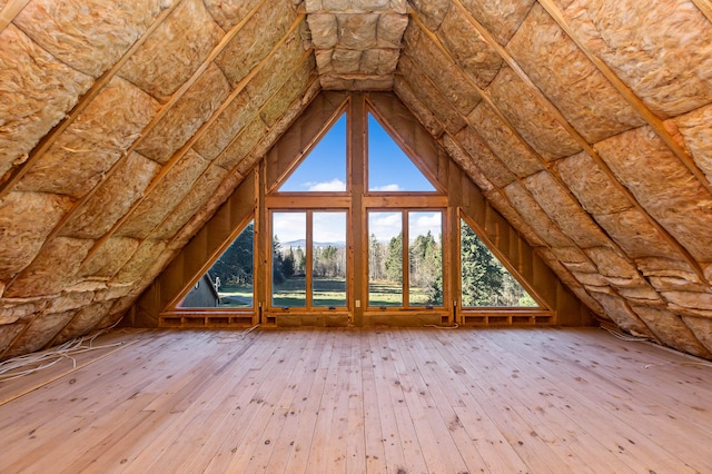 view of unfinished attic