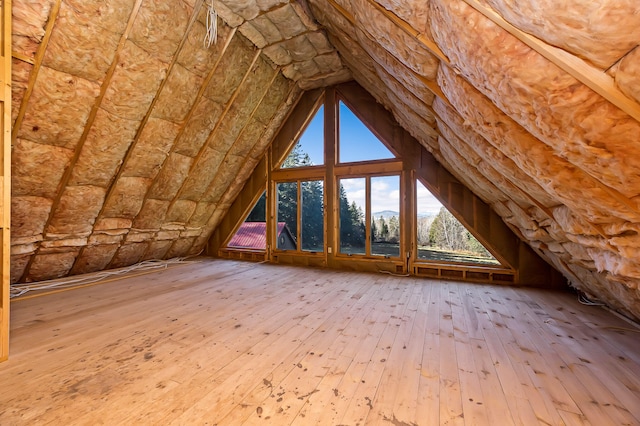 view of unfinished attic