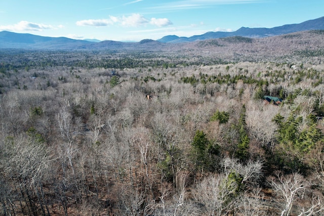 2011 Pond Rd, Carrabassett Valley ME, 04947 land for sale