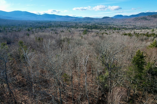 Listing photo 3 for 2011 Pond Rd, Carrabassett Valley ME 04947