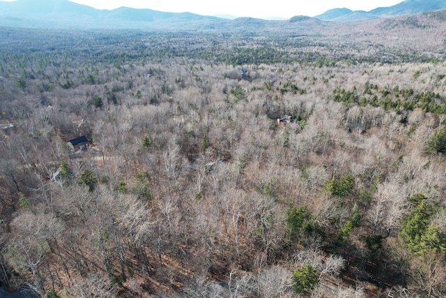 2011 Pond Rd, Carrabassett Valley, ME 04947 - photo 4