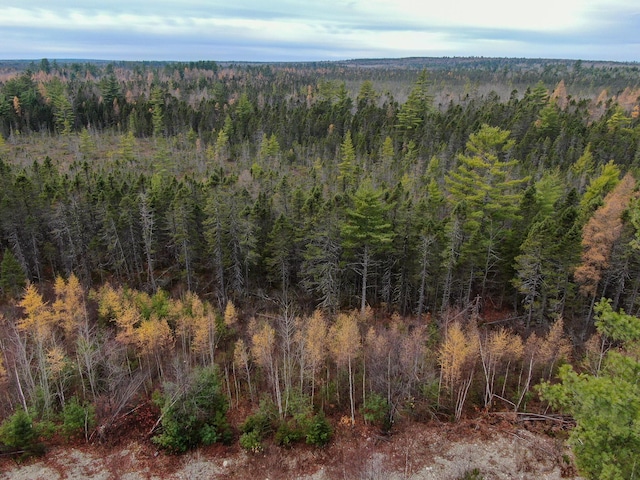 TBD Seboeis Rd, Howland, ME 04448