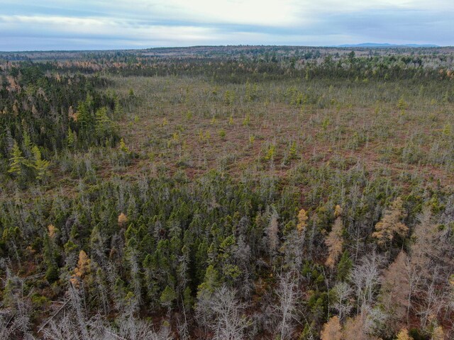 TBD Seboeis Rd, Howland, ME 04448