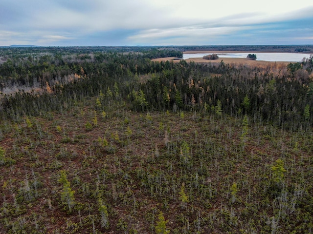 TBD Seboeis Rd, Howland, ME 04448