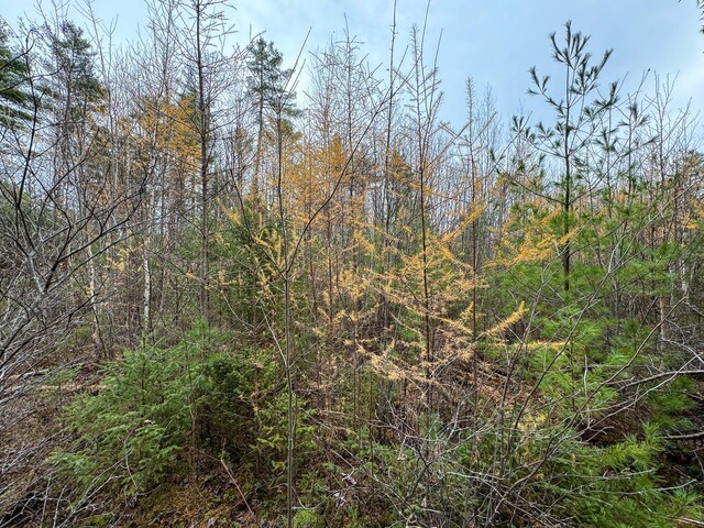 TBD Seboeis Rd, Howland, ME 04448