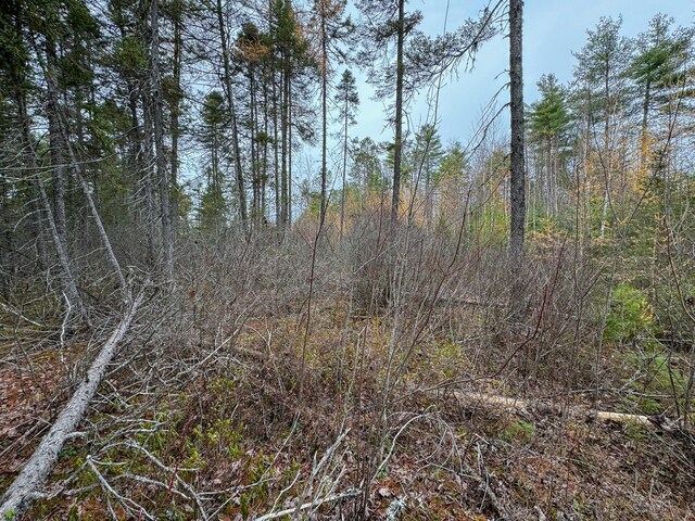 TBD Seboeis Rd, Howland, ME 04448