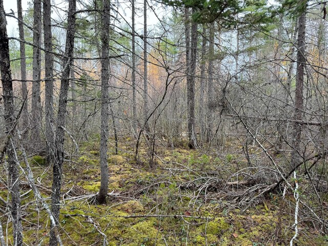 TBD Seboeis Rd, Howland, ME 04448