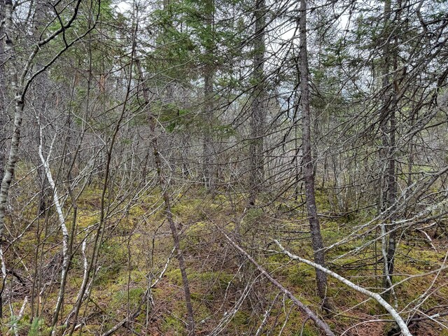 TBD Seboeis Rd, Howland, ME 04448