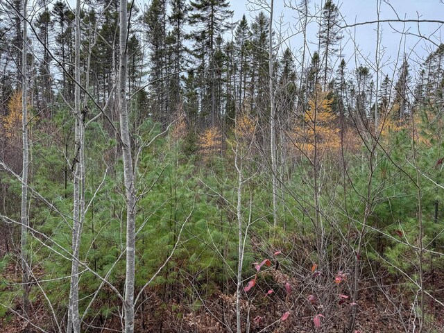 TBD Seboeis Rd, Howland, ME 04448