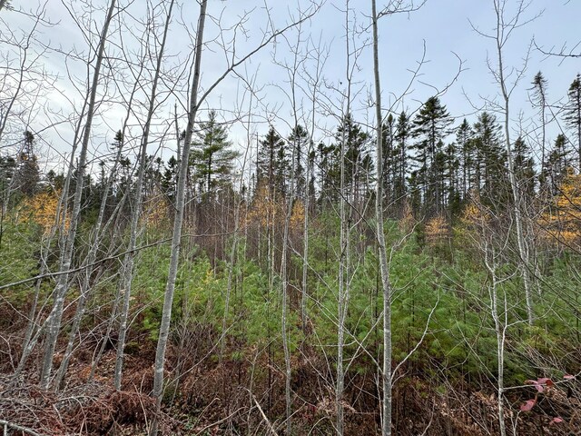 TBD Seboeis Rd, Howland, ME 04448