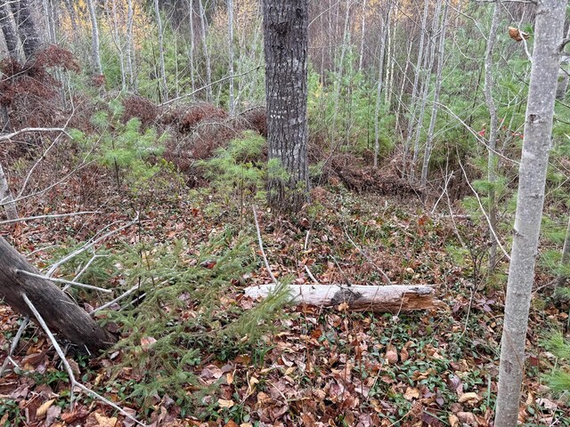 TBD Seboeis Rd, Howland, ME 04448