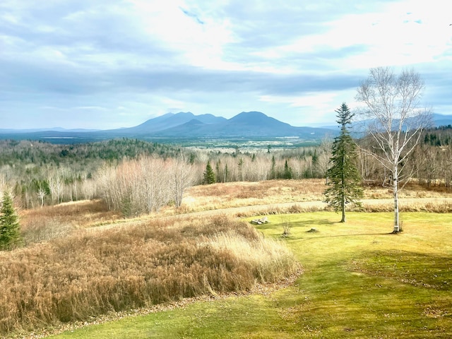 view of mountain feature