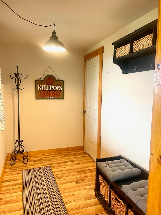 mudroom with hardwood / wood-style floors