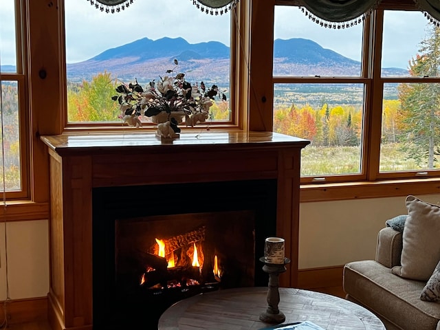 room details with a mountain view