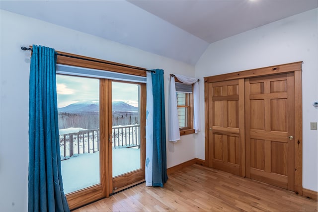 entryway featuring a mountain view, light hardwood / wood-style floors, and lofted ceiling