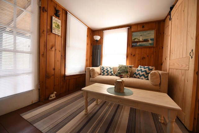 living area with wooden walls and a barn door