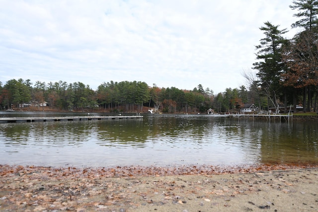 55 Lakeshore Dr, Casco, ME 04015 - water view with a heavily wooded area