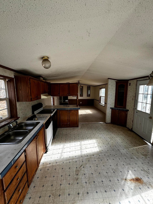 kitchen featuring a textured ceiling, a wealth of natural light, lofted ceiling, and sink