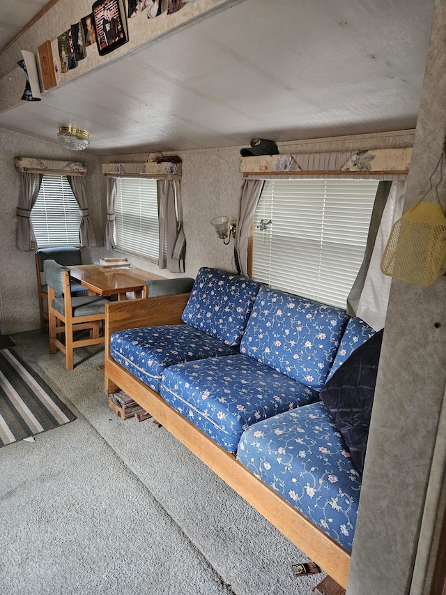 living room with carpet flooring