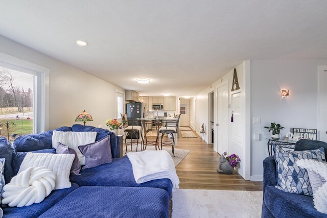 living room featuring light hardwood / wood-style flooring