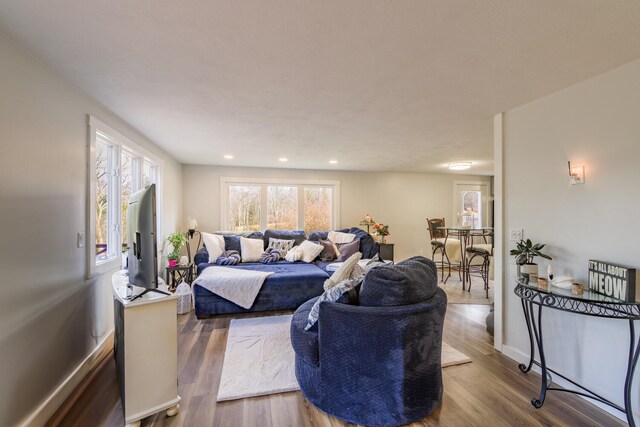 living room featuring hardwood / wood-style flooring