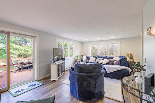 living room with a wealth of natural light and light wood-type flooring