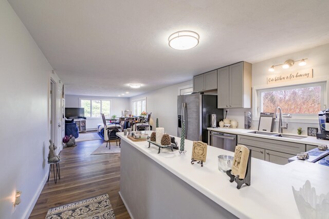 kitchen featuring gray cabinets, dark hardwood / wood-style flooring, stainless steel appliances, and sink