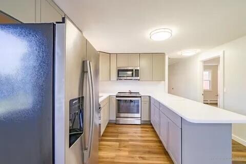 kitchen featuring light wood-type flooring, kitchen peninsula, and stainless steel appliances