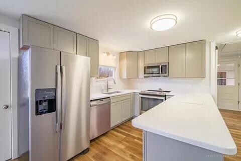 kitchen featuring gray cabinetry, sink, light hardwood / wood-style flooring, kitchen peninsula, and appliances with stainless steel finishes