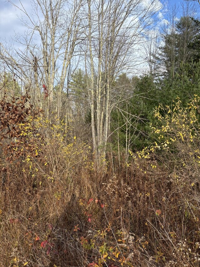 TBD Log Cabin Rd, Kennebunkport, ME 04046