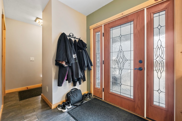 foyer entrance featuring dark wood-type flooring