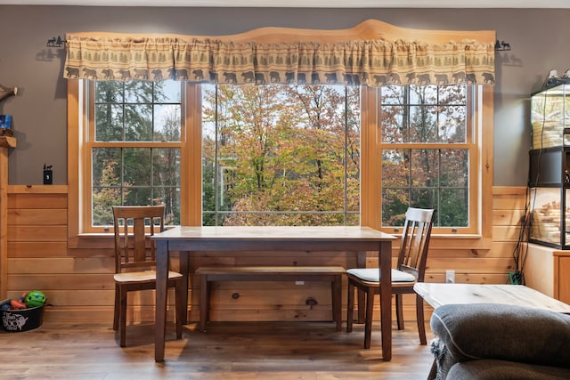 dining space featuring hardwood / wood-style floors, wooden walls, and a healthy amount of sunlight