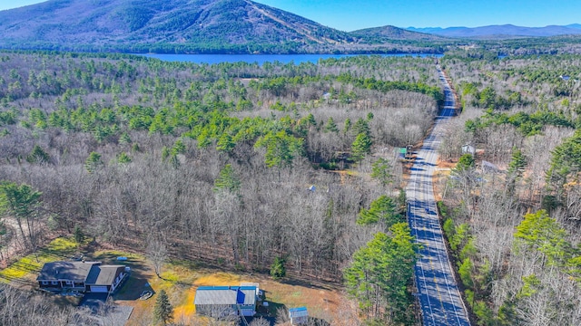 7 Punkin Valley Dr, Bridgton, ME 04009 - photo 48