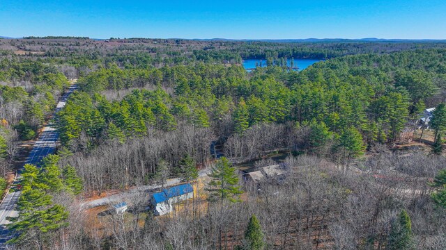7 Punkin Valley Dr, Bridgton, ME 04009 - photo 49