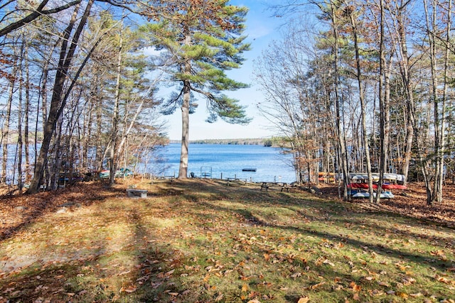 view of yard with a water view