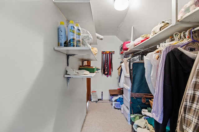 walk in closet featuring vaulted ceiling and carpet floors